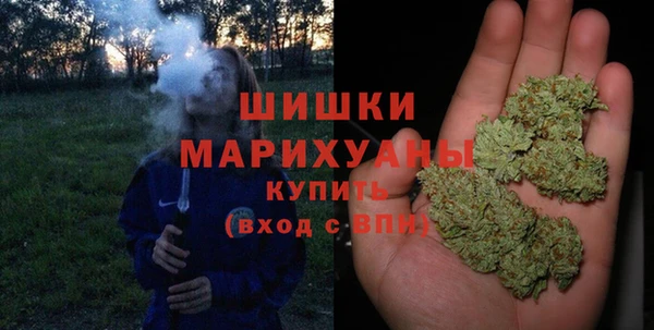 прущий лед Вязьма