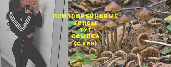 гашишное масло Вяземский