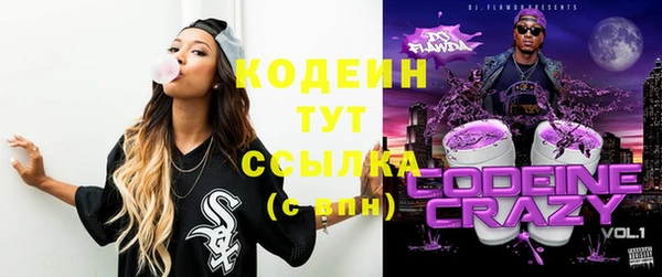 прущий лед Вязьма