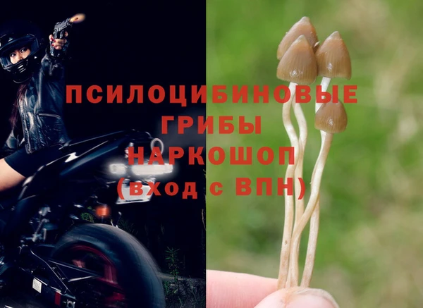 прущий лед Вязьма