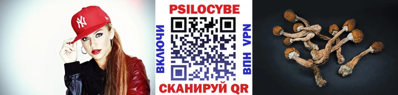 Купить Котлас Галлюциногенные грибы мухоморы